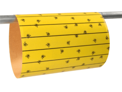 FlyMaster légyfogó lap 6 db 595x300 mm